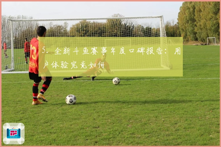 5. 全新斗鱼赛事年度口碑报告:用户体验究竟如何