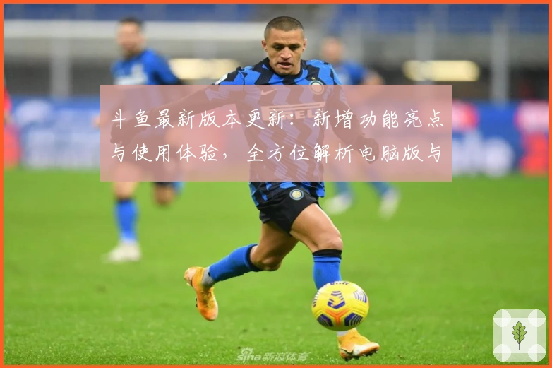 斗鱼最新版本更新:新增功能亮点与使用体验,全方位解析电脑版与网页版区别