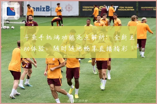 斗鱼手机端功能亮点解析：全新互动体验，随时随地畅享直播精彩