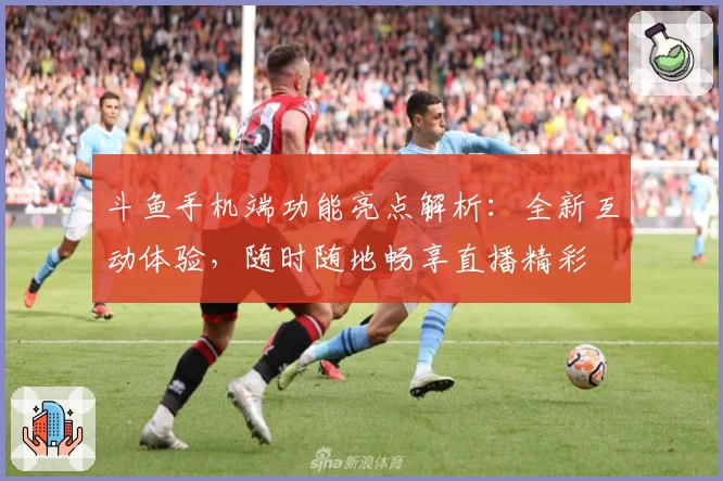 斗鱼手机端功能亮点解析：全新互动体验，随时随地畅享直播精彩