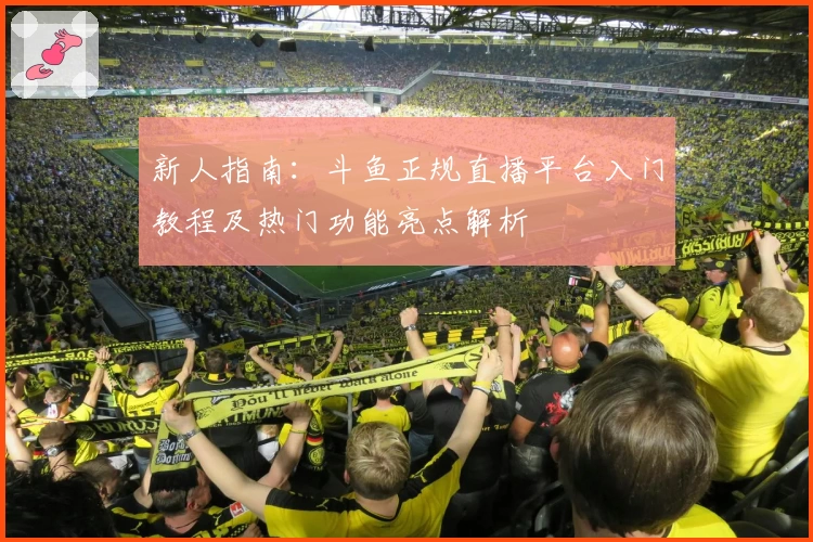 新人指南：斗鱼正规直播平台入门教程及热门功能亮点解析