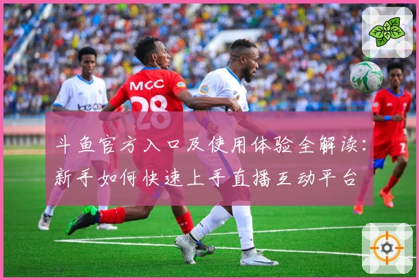 斗鱼官方入口及使用体验全解读：新手如何快速上手直播互动平台