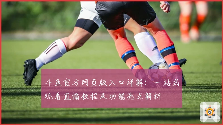 斗鱼官方网页版入口详解：一站式观看直播教程及功能亮点解析