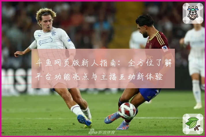 斗鱼网页版新人指南：全方位了解平台功能亮点与主播互动新体验