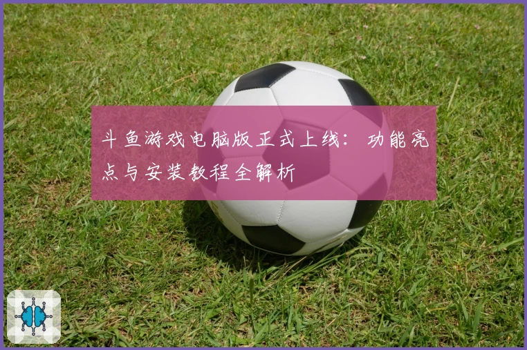 斗鱼游戏电脑版正式上线：功能亮点与安装教程全解析